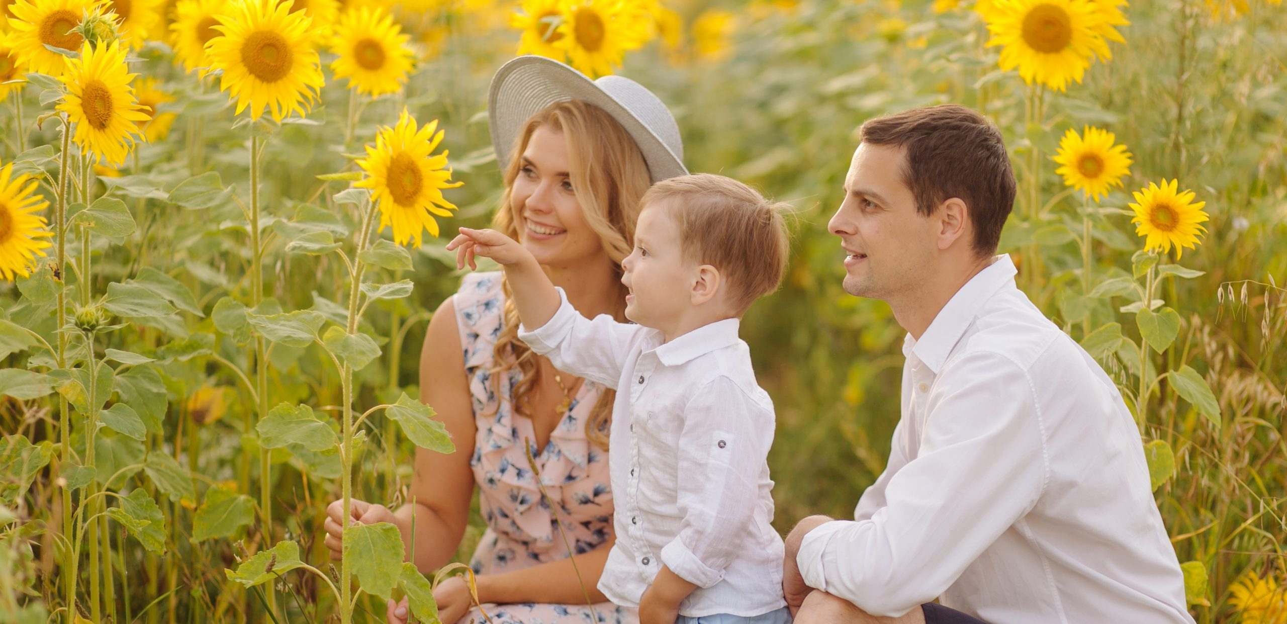 Lily Pond Services